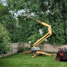 Best Emergency Tree Removal  in Rose Hills, CA